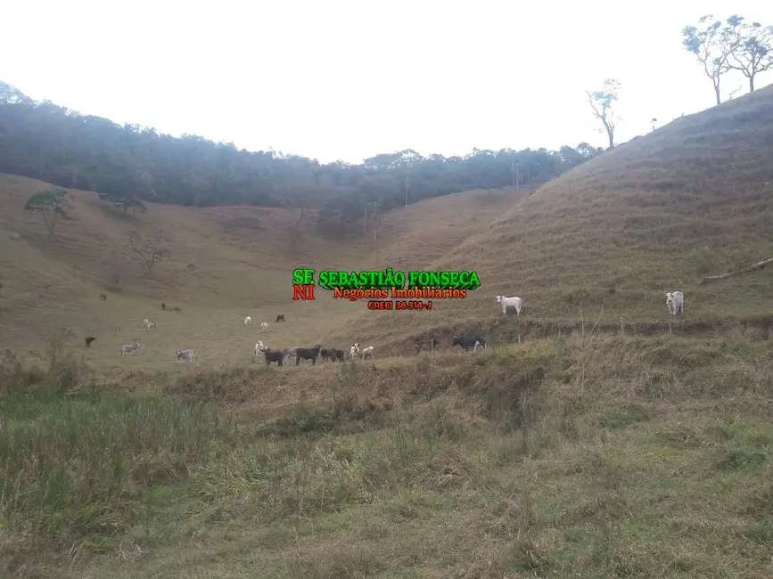 Sítio / Rancho à venda, 14m2 em Centro, Sao Luiz Do Paraitinga - SP - imagem 9 Foto 9 de Sítio / Rancho à venda, 14m2 em Centro, Sao Luiz Do Paraitinga - SP