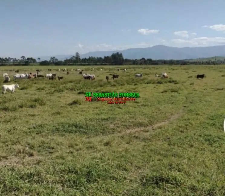 Foto 1 de Fazenda / Haras à venda, 353m2 em Vila Bela, Guaratingueta - SP