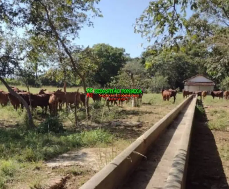 Foto 4 de Fazenda / Haras à venda, 353m2 em Vila Bela, Guaratingueta - SP