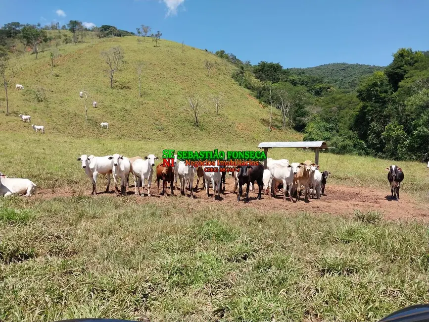 Fazenda / Haras à venda, 215m2 em Centro, Aparecida - SP - imagem 6 Foto 6 de Fazenda / Haras à venda, 215m2 em Centro, Aparecida - SP