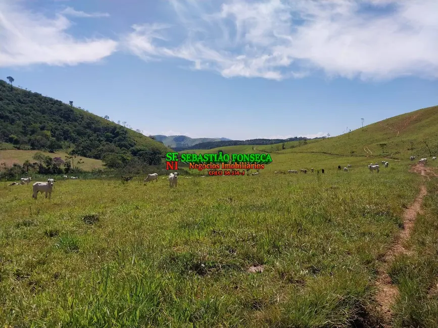 Fazenda / Haras à venda, 215m2 em Centro, Aparecida - SP - imagem 8 Foto 8 de Fazenda / Haras à venda, 215m2 em Centro, Aparecida - SP