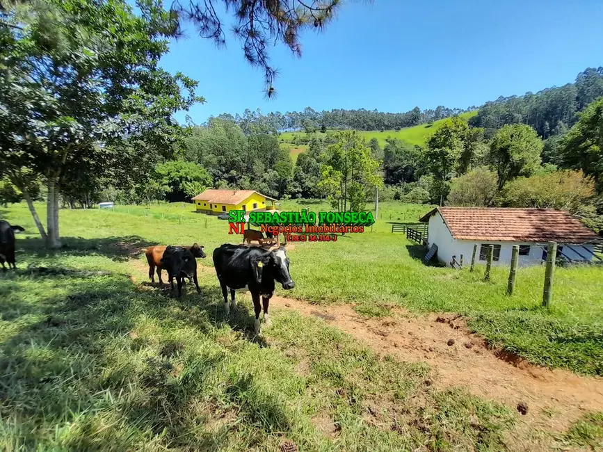 Foto 1 de Sítio / Rancho à venda, 20m2 em Centro, Lagoinha - SP