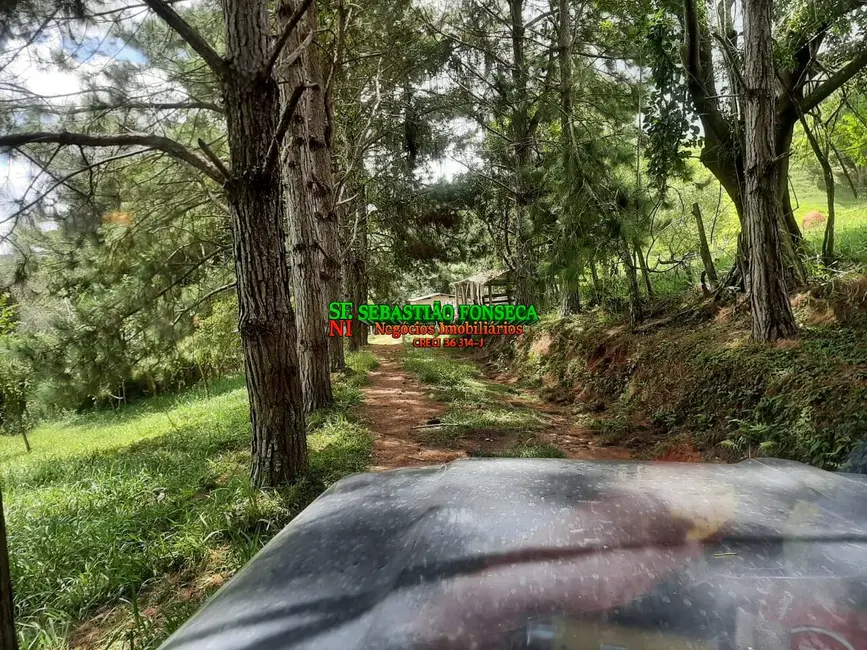 Foto 2 de Sítio / Rancho à venda, 24m2 em Centro, Sao Luiz Do Paraitinga - SP
