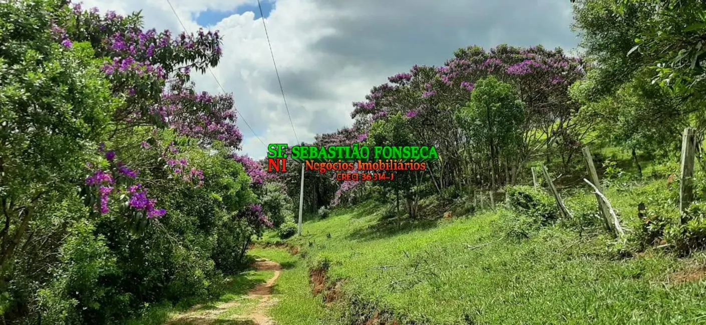 Sítio / Rancho à venda, 24m2 em Centro, Sao Luiz Do Paraitinga - SP - imagem 8 Foto 8 de Sítio / Rancho à venda, 24m2 em Centro, Sao Luiz Do Paraitinga - SP