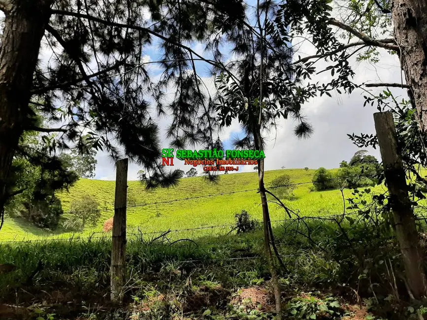 Sítio / Rancho à venda, 24m2 em Centro, Sao Luiz Do Paraitinga - SP - imagem 3 Foto 3 de Sítio / Rancho à venda, 24m2 em Centro, Sao Luiz Do Paraitinga - SP