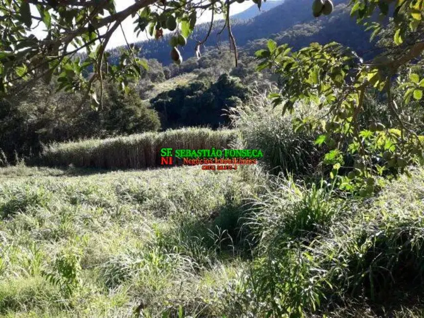 Foto 7 de Fazenda / Haras à venda, 377m2 em Centro, Lagoinha - SP