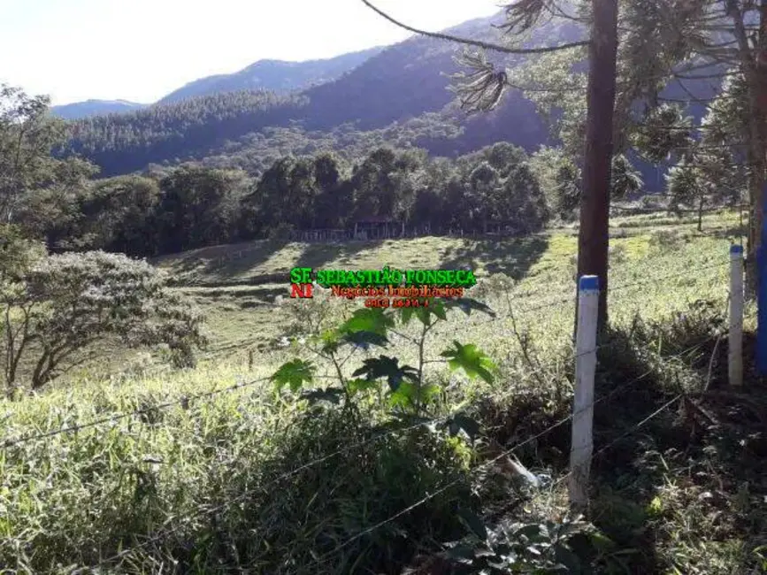 Foto 6 de Fazenda / Haras à venda, 377m2 em Centro, Lagoinha - SP