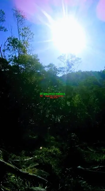 Foto 2 de Chácara à venda, 3088m2 em Natividade Da Serra - SP