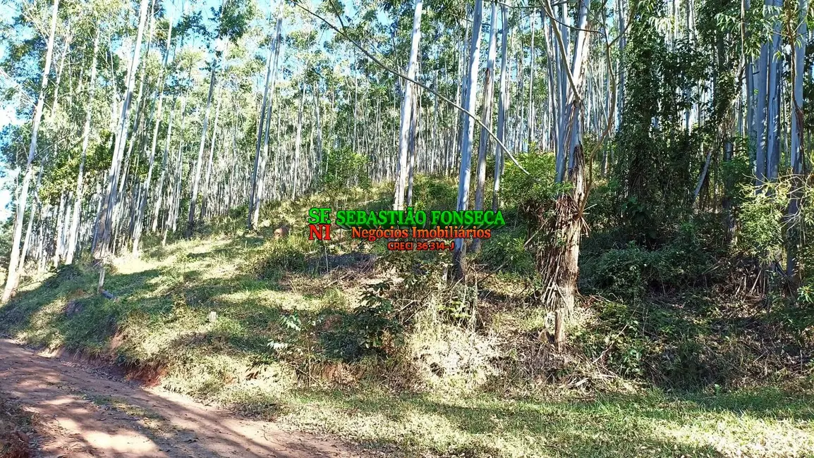 Foto 2 de Sítio / Rancho à venda em Centro, Paraibuna - SP
