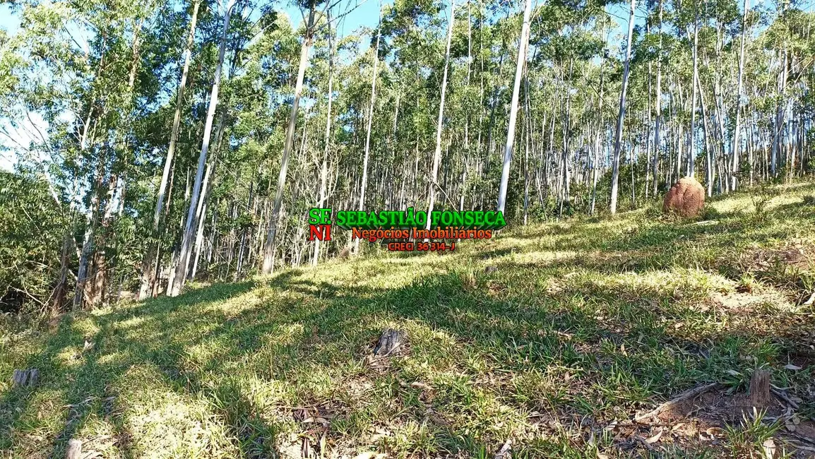 Sítio / Rancho à venda em Centro, Paraibuna - SP - imagem 9 Foto 9 de Sítio / Rancho à venda em Centro, Paraibuna - SP