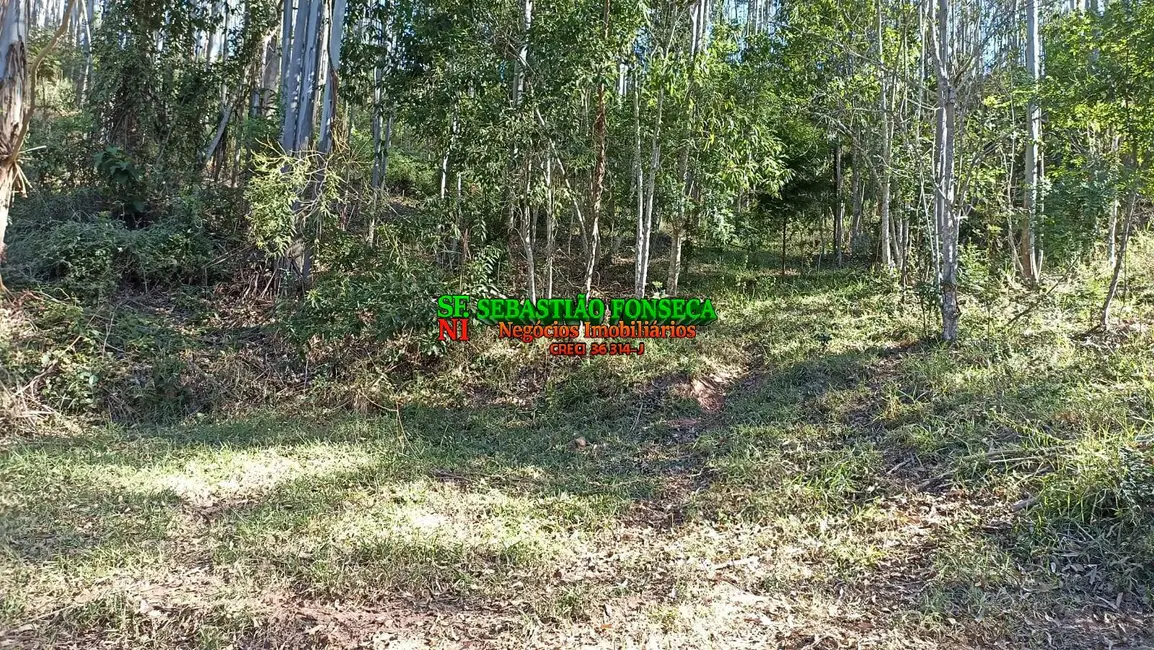 Sítio / Rancho à venda em Centro, Paraibuna - SP - imagem 5 Foto 5 de Sítio / Rancho à venda em Centro, Paraibuna - SP