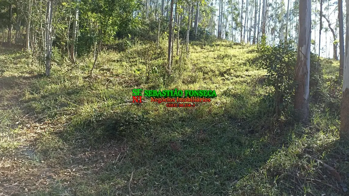 Sítio / Rancho à venda em Centro, Paraibuna - SP - imagem 8 Foto 8 de Sítio / Rancho à venda em Centro, Paraibuna - SP