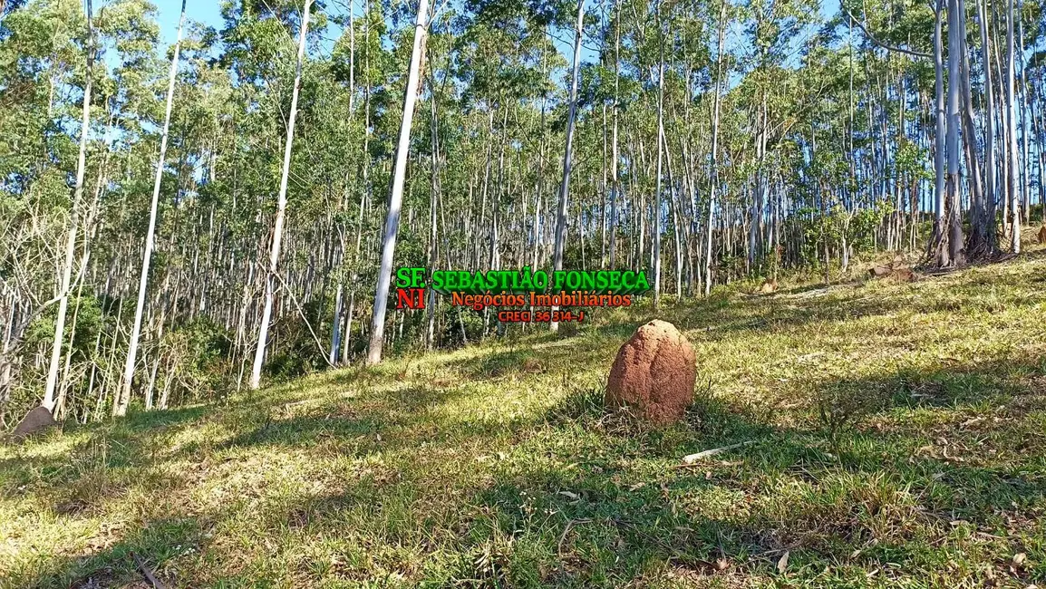 Foto 13 de Sítio / Rancho à venda em Centro, Paraibuna - SP