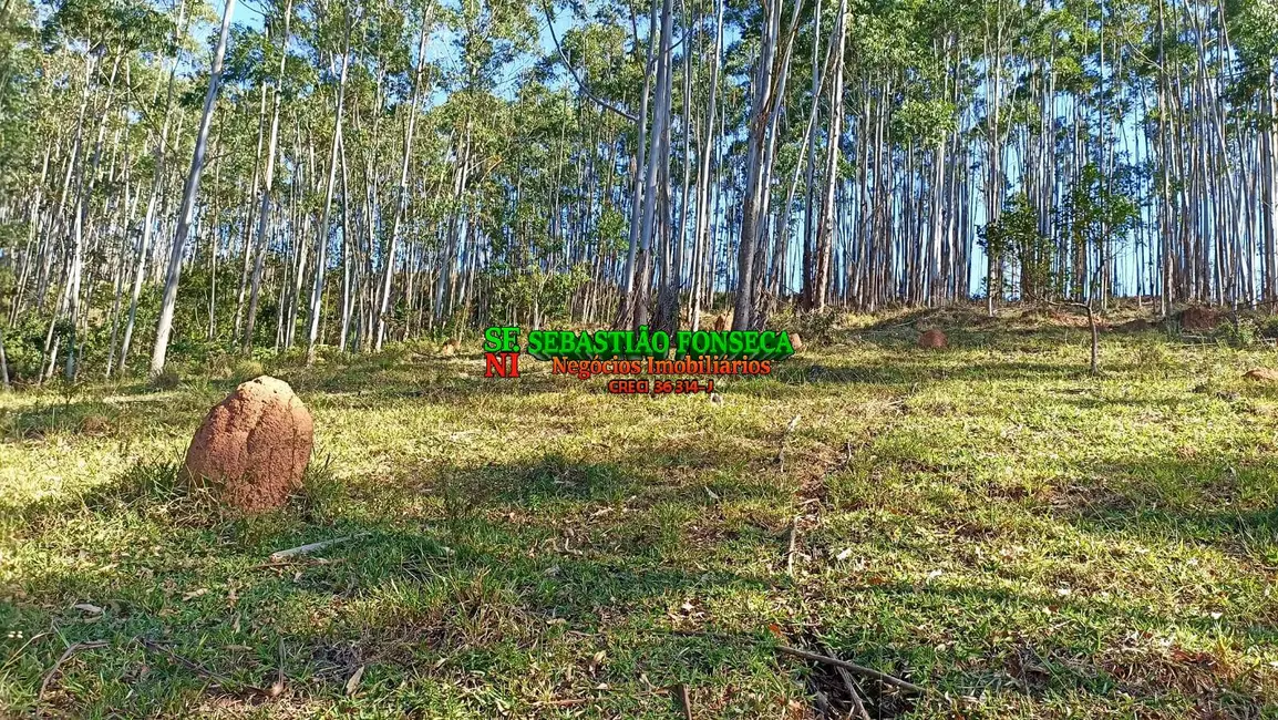 Sítio / Rancho à venda em Centro, Paraibuna - SP - imagem 3 Foto 3 de Sítio / Rancho à venda em Centro, Paraibuna - SP
