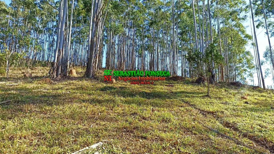 Sítio / Rancho à venda em Centro, Paraibuna - SP - imagem 7 Foto 7 de Sítio / Rancho à venda em Centro, Paraibuna - SP
