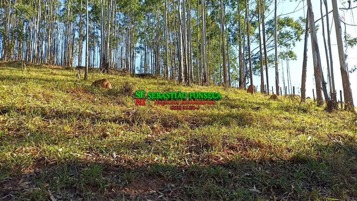 Foto 12 de Sítio / Rancho à venda em Centro, Paraibuna - SP