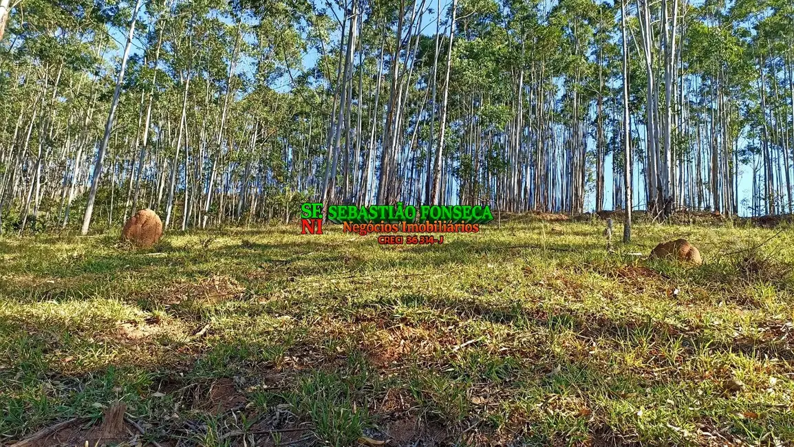 Foto 1 de Sítio / Rancho à venda em Centro, Paraibuna - SP