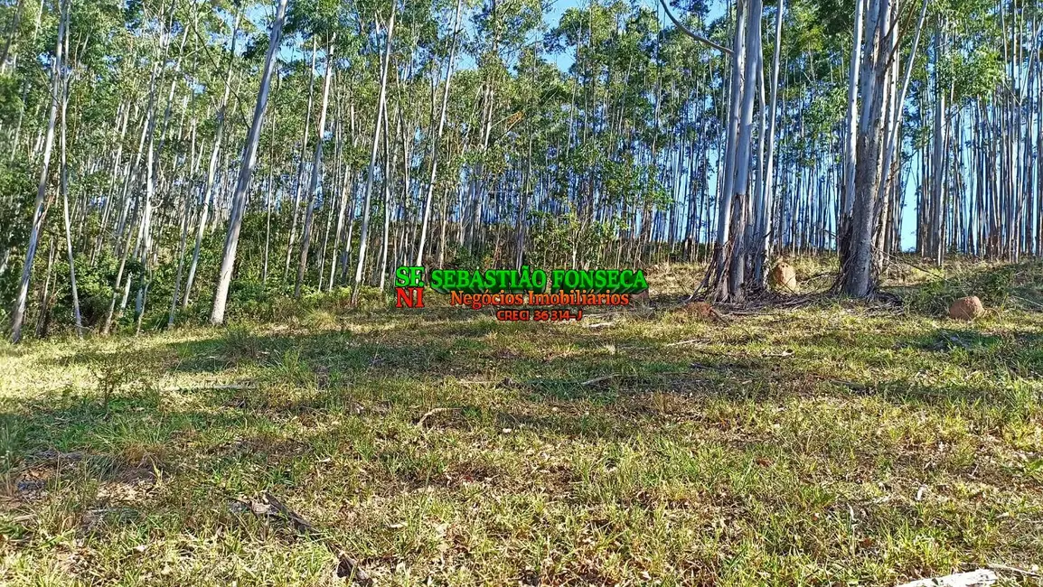 Sítio / Rancho à venda em Centro, Paraibuna - SP - imagem 4 Foto 4 de Sítio / Rancho à venda em Centro, Paraibuna - SP