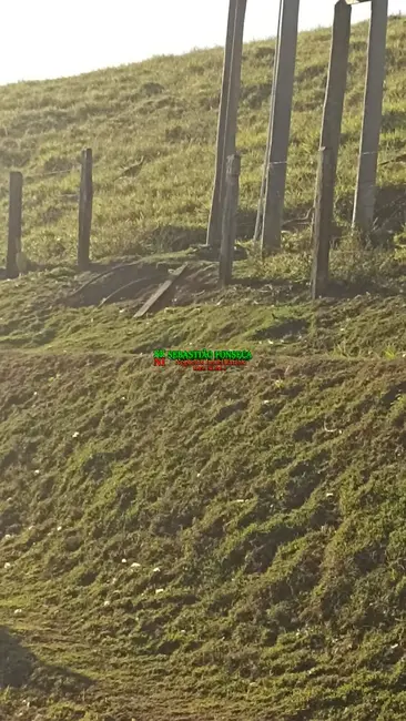 Sítio / Rancho à venda, 32000m2 em Centro, Paraibuna - SP - imagem 6 Foto 6 de Sítio / Rancho à venda, 32000m2 em Centro, Paraibuna - SP