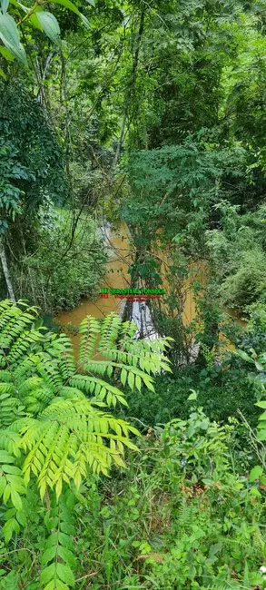 Foto 9 de Sítio / Rancho à venda, 47500m2 em Centro, Monteiro Lobato - SP