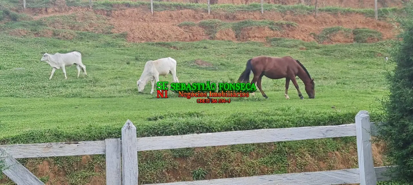 Foto 8 de Sítio / Rancho à venda, 47500m2 em Centro, Monteiro Lobato - SP