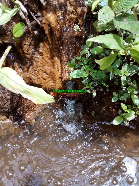 Foto 8 de Chácara à venda, 20000m2 em São Silvestre (São Silvestre), Jacarei - SP
