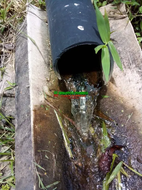 Foto 3 de Chácara à venda, 20000m2 em São Silvestre (São Silvestre), Jacarei - SP