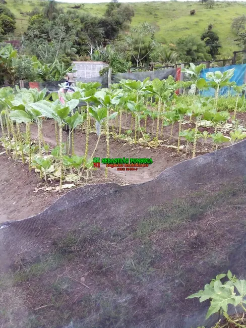 Foto 7 de Chácara à venda, 20000m2 em São Silvestre (São Silvestre), Jacarei - SP