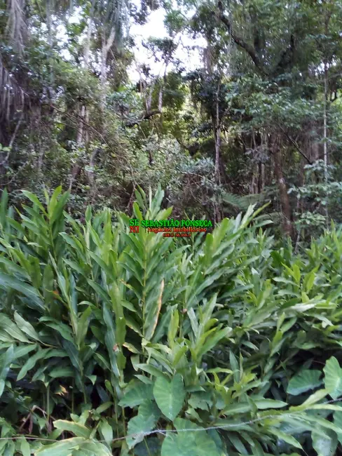 Foto 45 de Chácara à venda, 20000m2 em São Silvestre (São Silvestre), Jacarei - SP