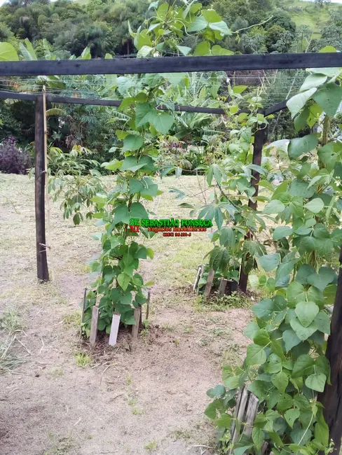 Foto 27 de Chácara à venda, 20000m2 em São Silvestre (São Silvestre), Jacarei - SP