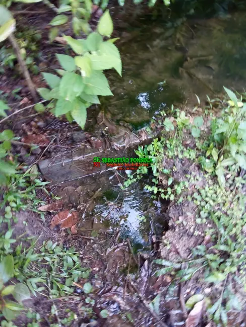 Foto 6 de Chácara à venda, 20000m2 em São Silvestre (São Silvestre), Jacarei - SP