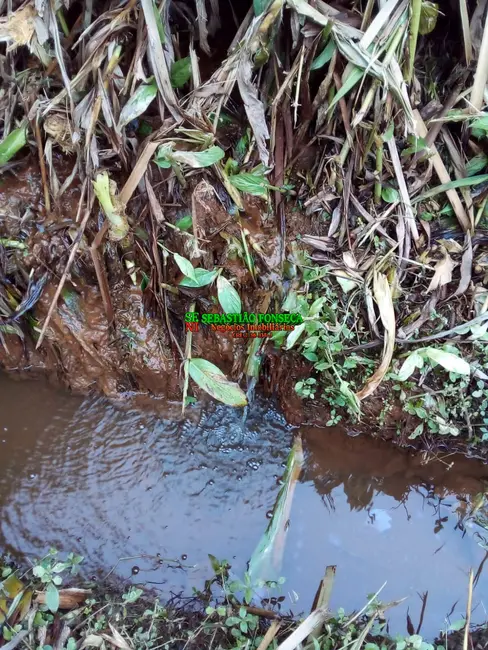 Foto 13 de Chácara à venda, 20000m2 em São Silvestre (São Silvestre), Jacarei - SP