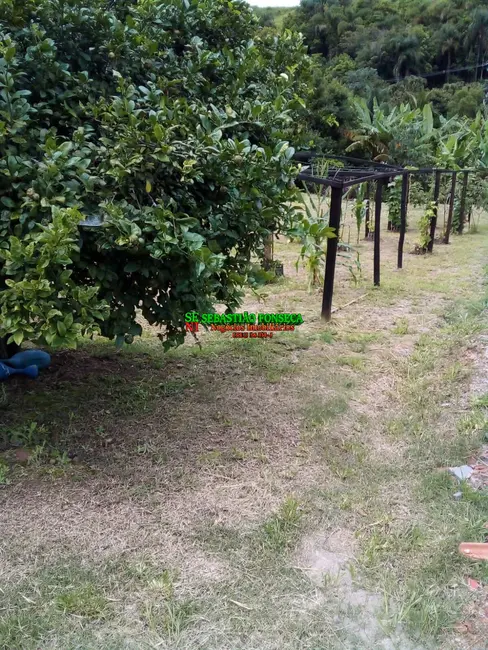 Foto 11 de Chácara à venda, 20000m2 em São Silvestre (São Silvestre), Jacarei - SP