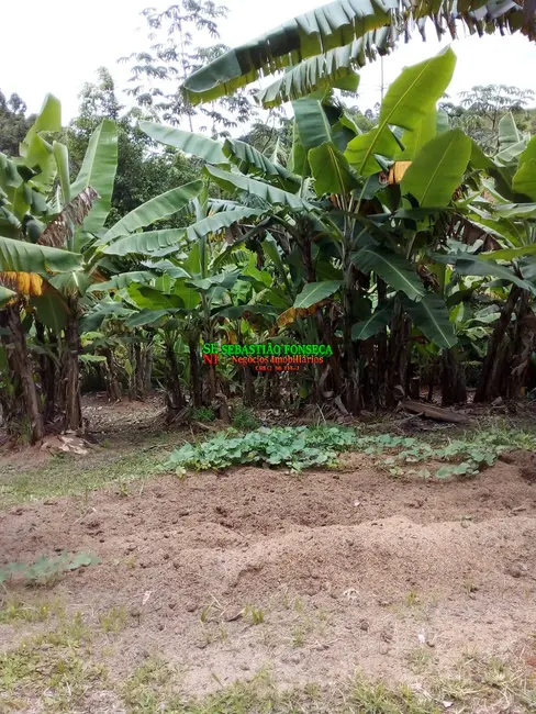 Foto 46 de Chácara à venda, 20000m2 em São Silvestre (São Silvestre), Jacarei - SP