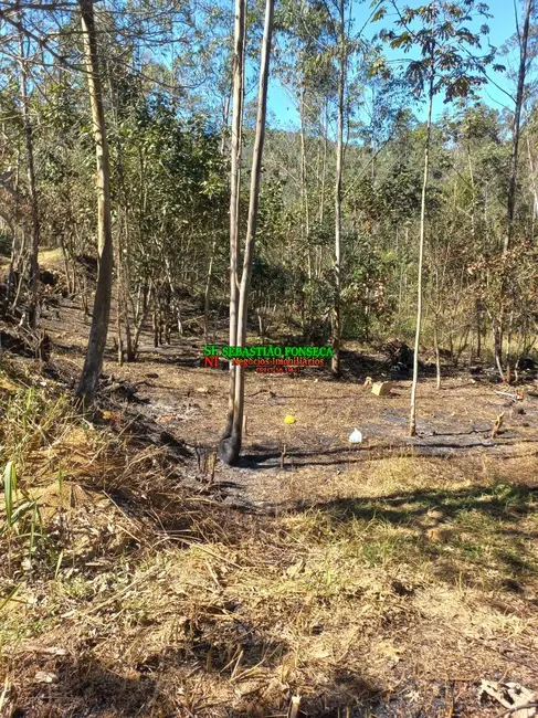 Foto 2 de Sítio / Rancho à venda, 20000m2 em Centro, Monteiro Lobato - SP