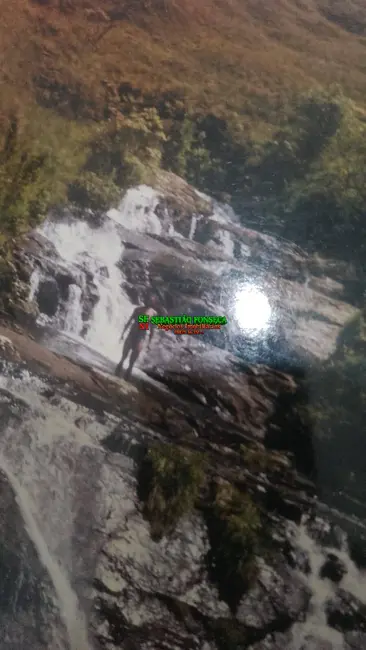 Foto 8 de Fazenda / Haras à venda e para alugar, 180m2 em Areias - SP