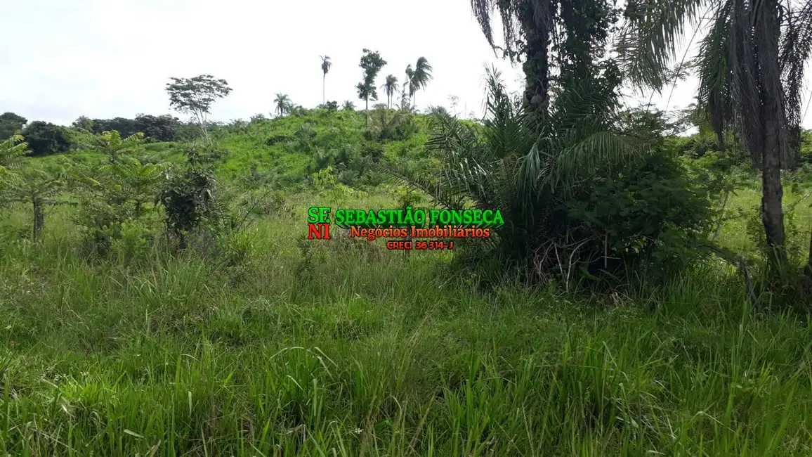 Foto 2 de Fazenda / Haras à venda, 1700m2 em Área Rural de Redenção, Redencao - PA