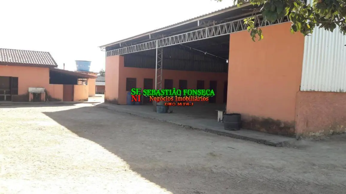Foto 5 de Fazenda / Haras à venda, 1200m2 em Área Rural de Xinguara, Xinguara - PA