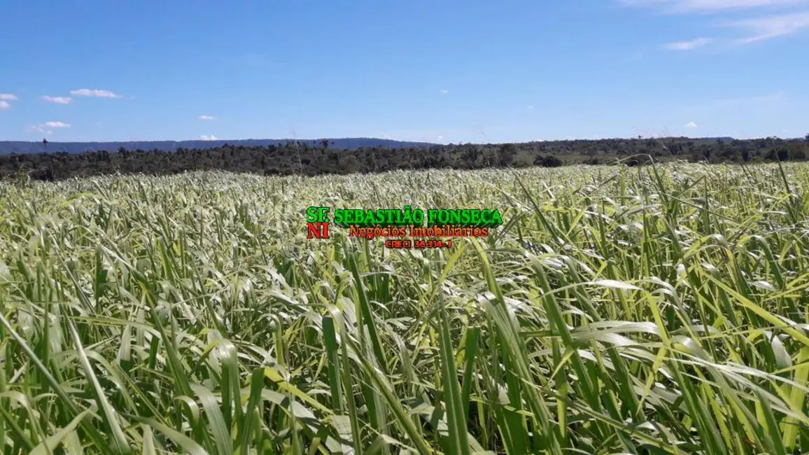 Foto 1 de Fazenda / Haras à venda, 1200m2 em Área Rural de Xinguara, Xinguara - PA