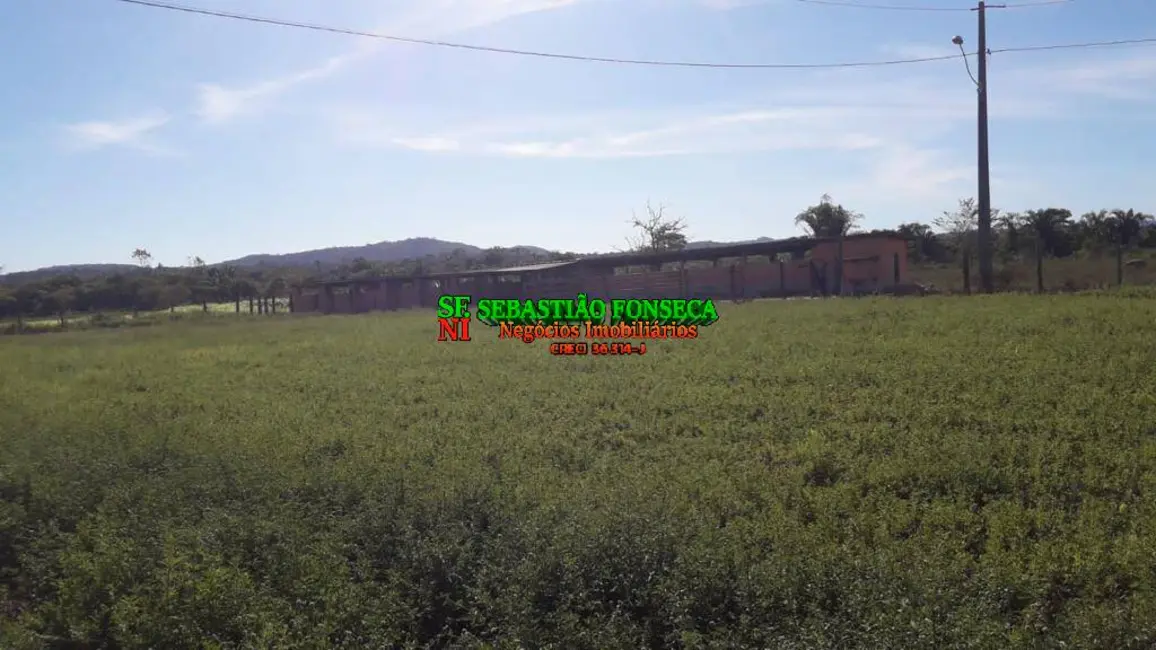 Foto 9 de Fazenda / Haras à venda, 1200m2 em Área Rural de Xinguara, Xinguara - PA