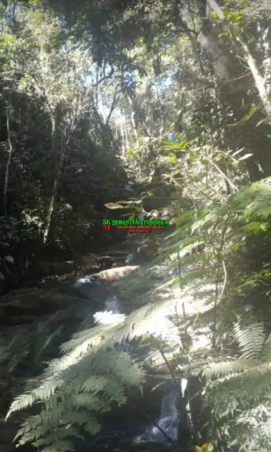 Foto 3 de Sítio / Rancho com 2 quartos à venda, 14760m2 em Monteiro Lobato - SP