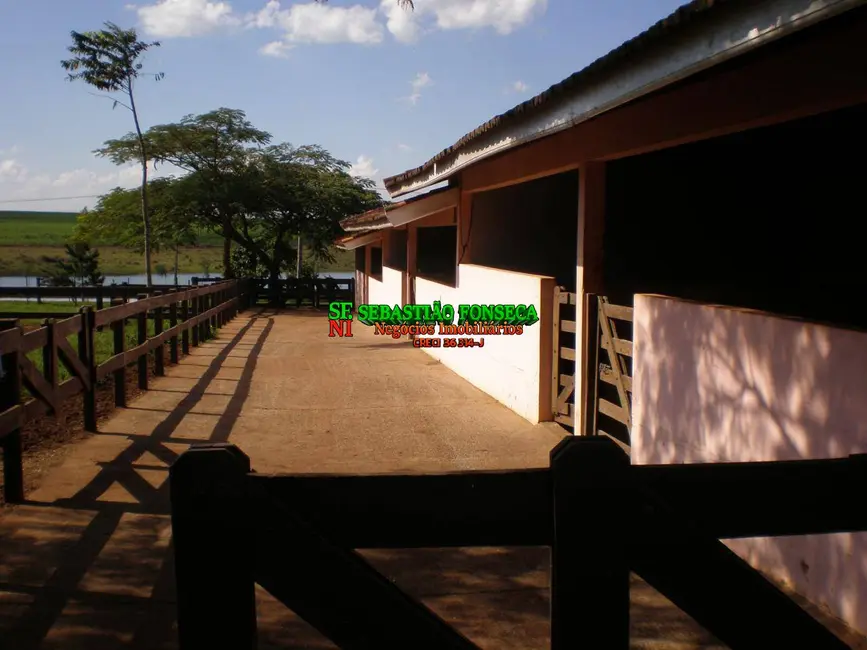 Foto 4 de Fazenda / Haras à venda, 580m2 em Área Rural de Avaré, Avare - SP