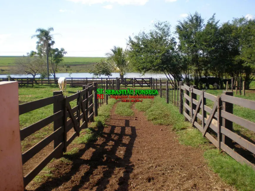 Foto 7 de Fazenda / Haras à venda, 580m2 em Área Rural de Avaré, Avare - SP