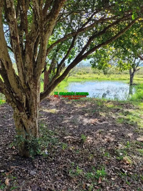 Foto 9 de Sítio / Rancho com 3 quartos à venda, 30000m2 em Taubate - SP