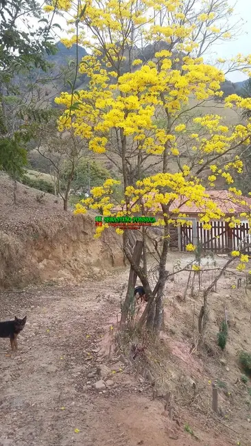 Foto 6 de Chácara com 2 quartos à venda, 12100m2 em Centro, Virginia - MG
