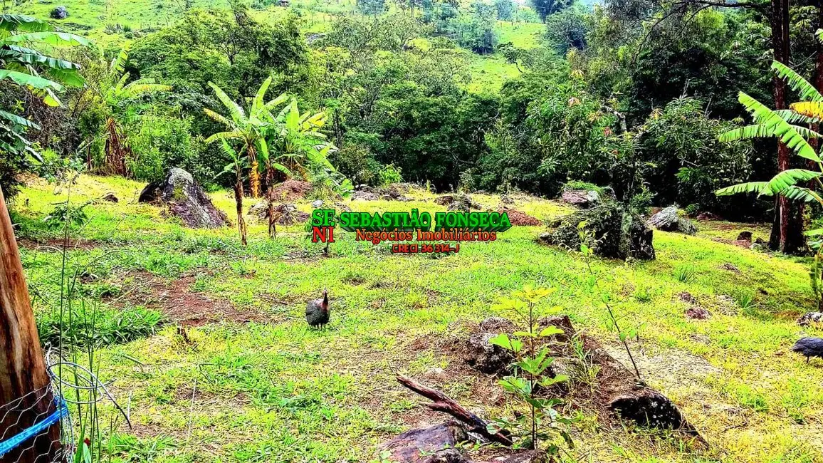 Foto 5 de Chácara com 2 quartos à venda, 12100m2 em Centro, Virginia - MG