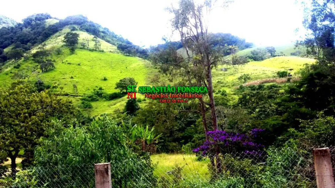 Foto 3 de Chácara com 2 quartos à venda, 12100m2 em Centro, Virginia - MG