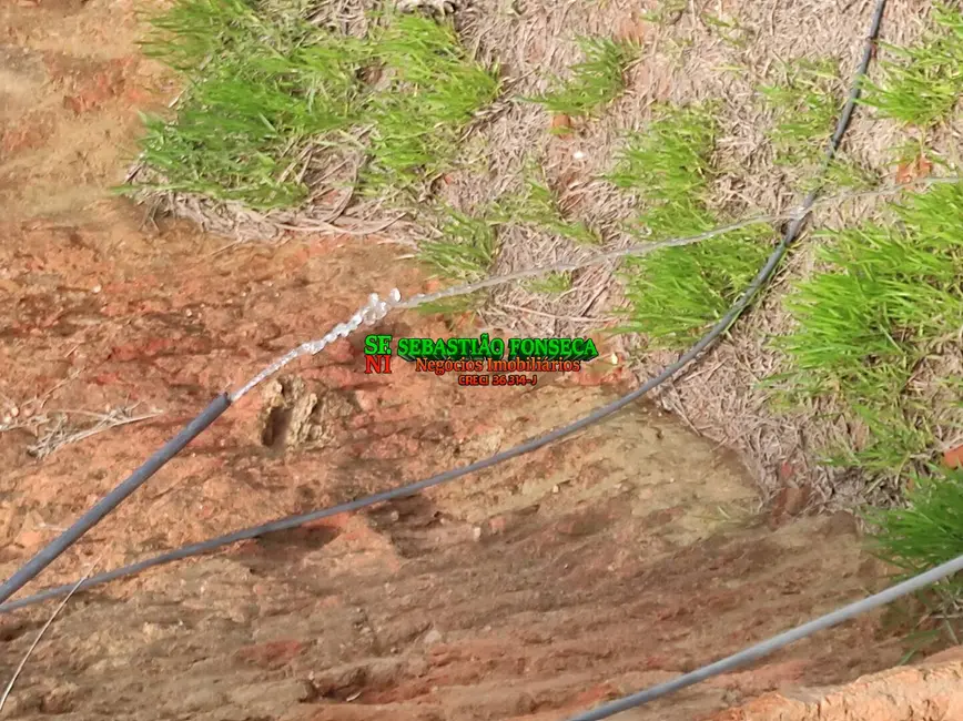 Foto 9 de Sítio / Rancho à venda, 20000m2 em Área Rural de Caçapava, Cacapava - SP