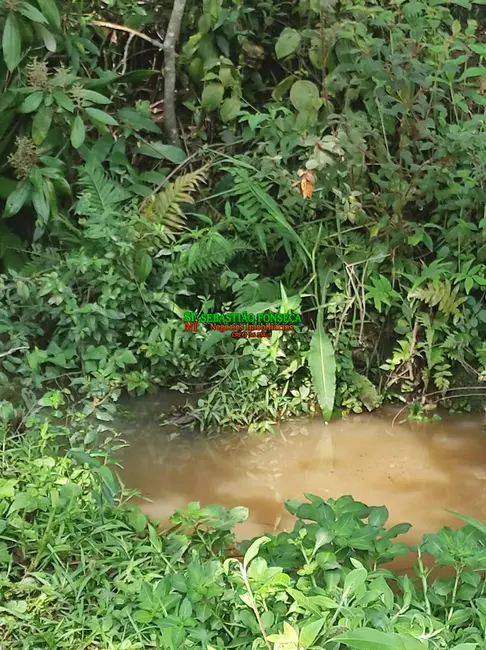 Sítio / Rancho com 2 quartos à venda, 20000m2 em Área Rural de Caçapava, Cacapava - SP - imagem 3 Foto 3 de Sítio / Rancho com 2 quartos à venda, 20000m2 em Área Rural de Caçapava, Cacapava - SP