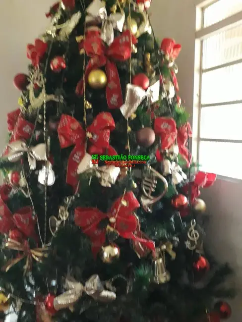 Foto 6 de Chácara com 3 quartos à venda, 5000m2 em Jambeiro - SP